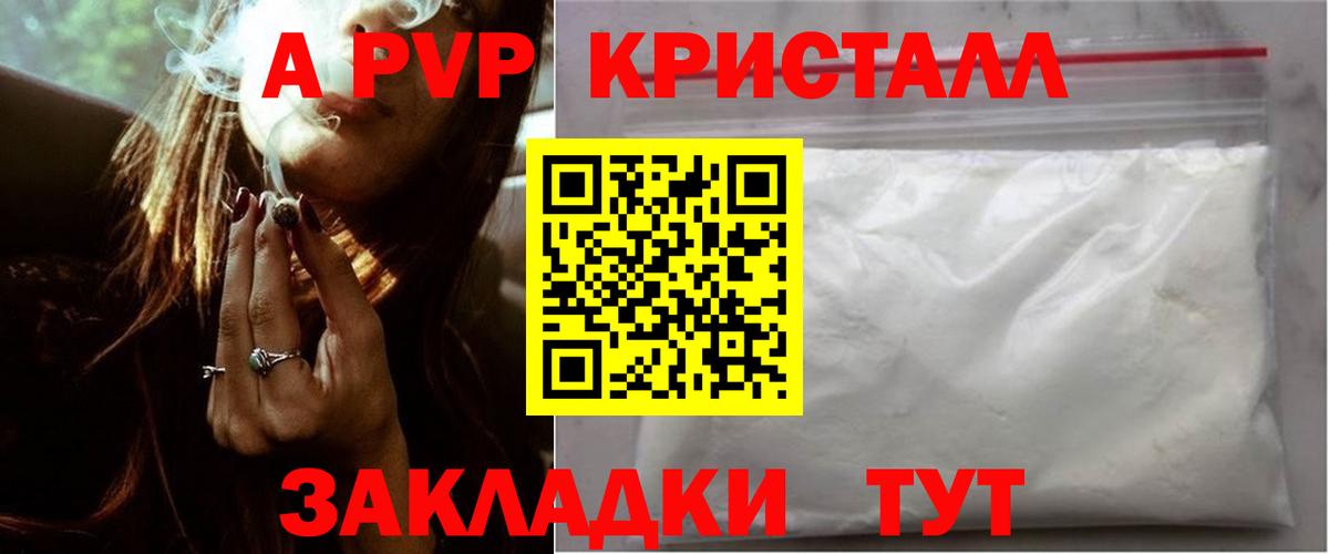 Alfa_PVP СК Великий Новгород
