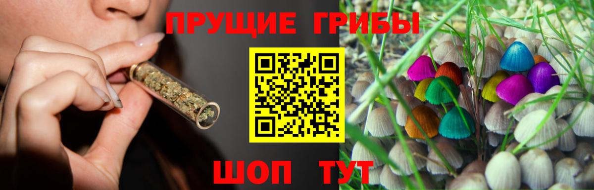 Галлюциногенные грибы прущие грибы  Вход с VPN  Великий Новгород 